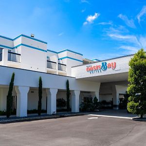 Oasis Bay Suites, Tampa, Busch Gardens, Usf